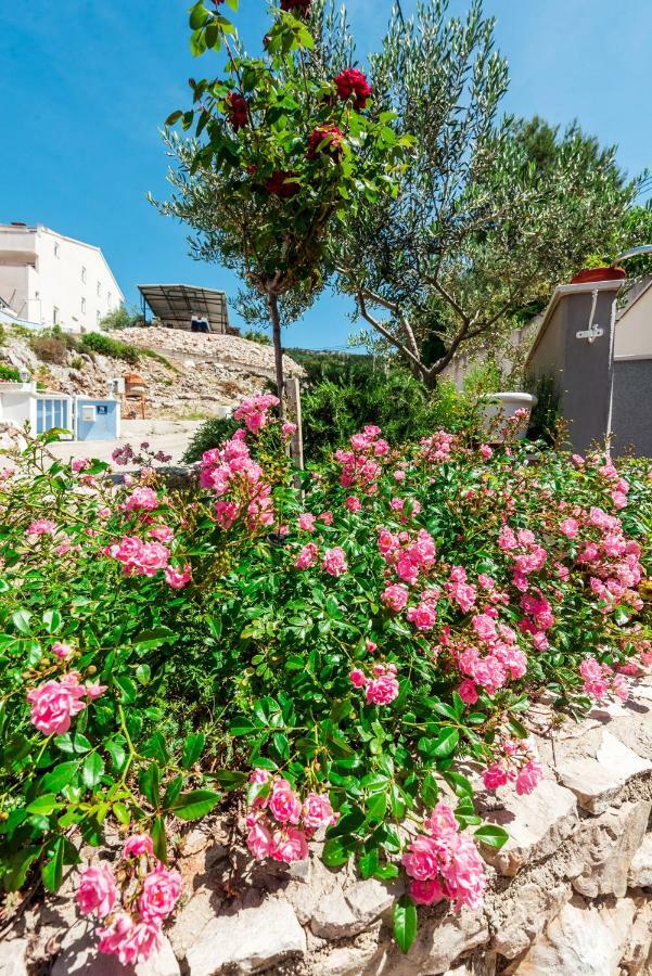 Apartmani Gelo Klek Dış mekan fotoğraf