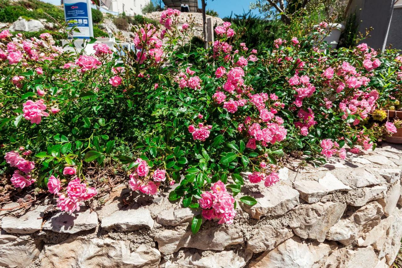Apartmani Gelo Klek Dış mekan fotoğraf